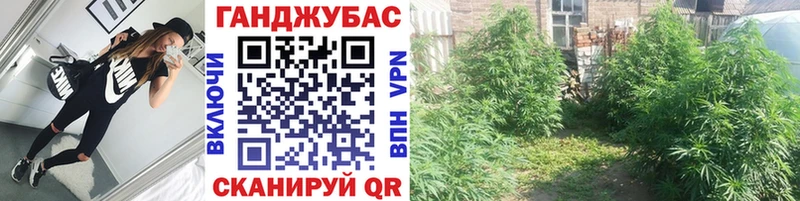 Что такое Нижний Ломов МАРИХУАНА  Псилоцибиновые грибы  ГАШИШ  МЕФ 