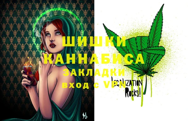 амф Верея