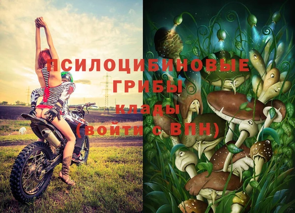 амф Верея