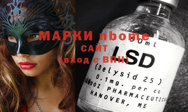 амф Верея