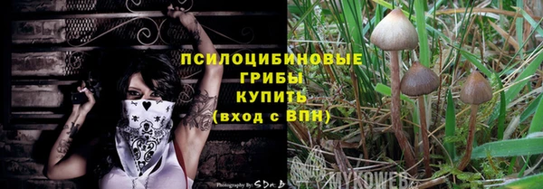 амф Верея