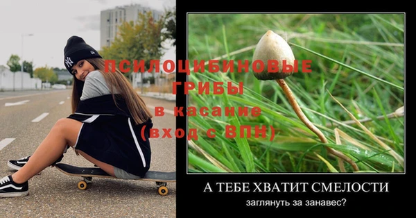 амф Верея