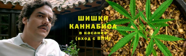 амф Верея