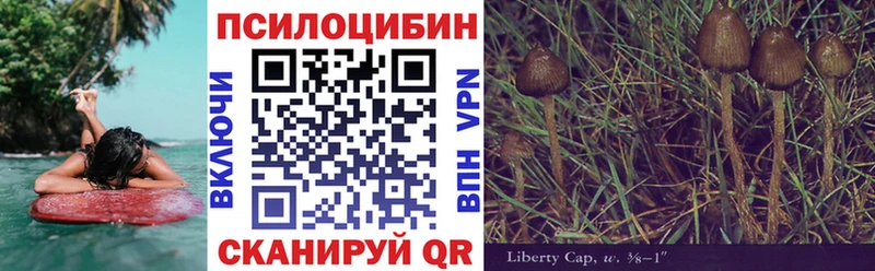 Псилоцибиновые грибы мухоморы  нарко площадка наркотические препараты  Нижний Ломов  omg как зайти 